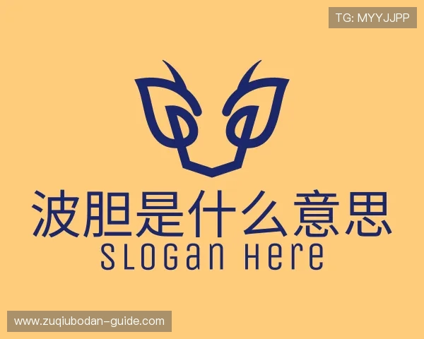 关于波胆预测